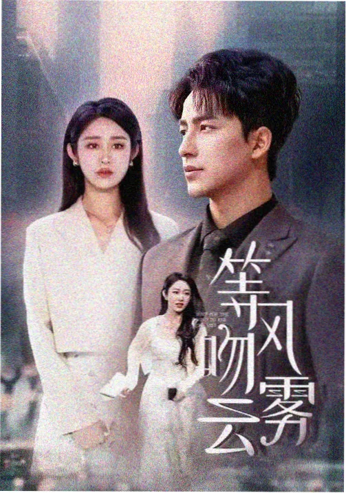 我是刑警·铁血 免费在线看视频